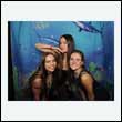 bailey_0295