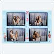 maryswbPB_0049